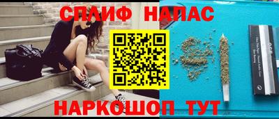 индика Можга