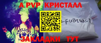 индика Можга