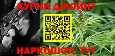 индика Можга