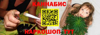 индика Можга