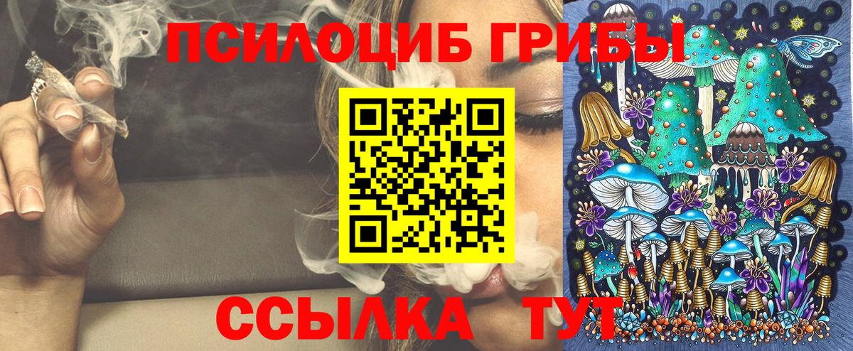 Ейск  Псилоцибиновые грибы мухоморы  Вход с VPN 